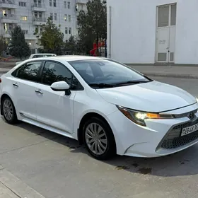 Toyota Corolla 2020