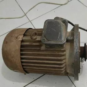 электродвигатель/elektromator