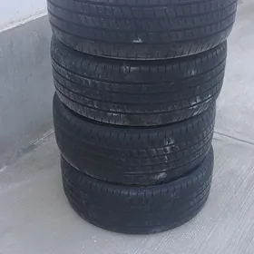 Teker  18 kemirlerinki