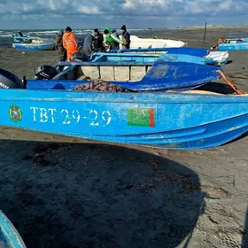 yamaha 40 lotka bn bile