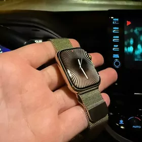 Apple Watch S8 45mm Stainless