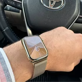 Apple Watch s8 45 Stainless