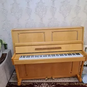 пянино . pyanino