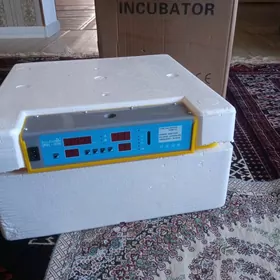 inkubator- инкубатор