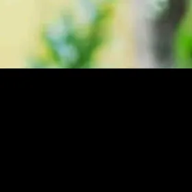 Gus imleri kunjuleri