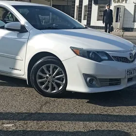 Palta Cemry S fara amatly kamplekt