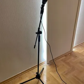 Stoyka+microfon