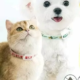 бит пищик  ко́пек поводок