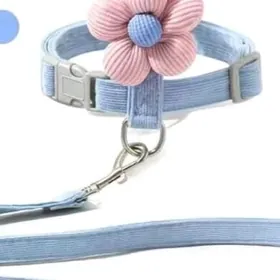 поводок собаки кошки