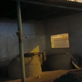 pekarny arenda пекарьня