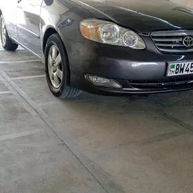 Toyota Corolla 2007