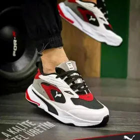Puma RS2 System