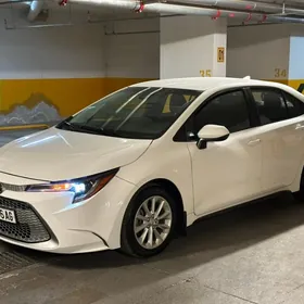Toyota Corolla 2022