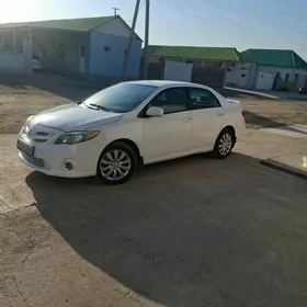 Toyota Corolla 2011