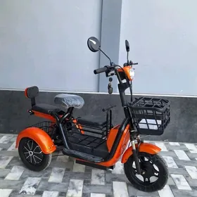 TIGIR SAMAKAT HADINOK KALYASGA