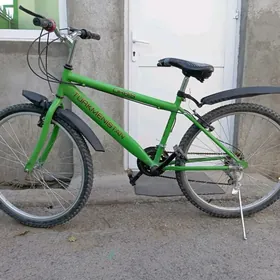 tigir gyssagly welik тигир uly