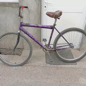 tigir gyssagly uly weloseped