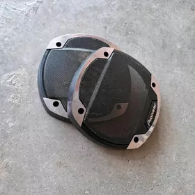 pioner kalonka nikil