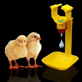 Towuk juyje üçin suwluk