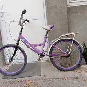 tigir kici caga тигир gyssagly