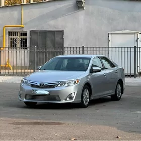 Toyota Camry 2013