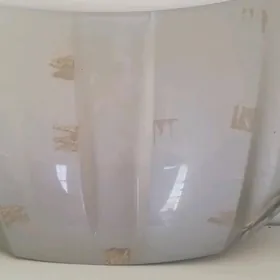 Kapot morda Haylander 2020/24