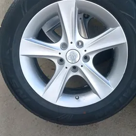 16lyk mary disgapokryşga