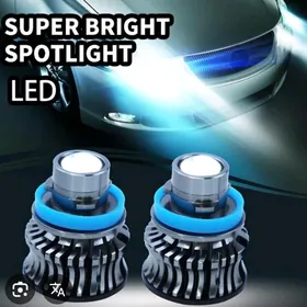 LUPA LED