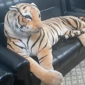 Yolwars. gujuk. kuze