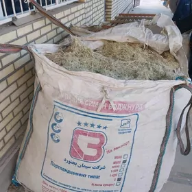 mal ucin gamysmal ucin gamys