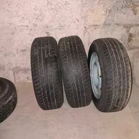 13 prasdoy diska pakriska