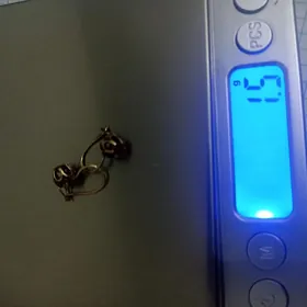 altyn gulakhalka detskiy