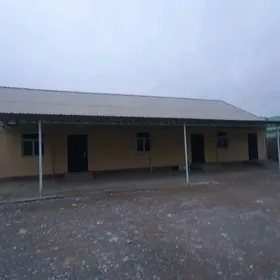 Аренда  ховлы Магтумгулы