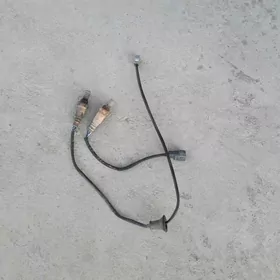 Katylzator dajikler  tayota