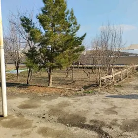 аренда ховлы кувейт