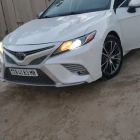 Toyota Camry 2019