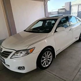 Toyota Camry 2010