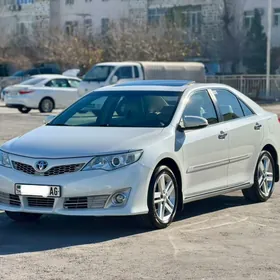 Toyota Camry 2013