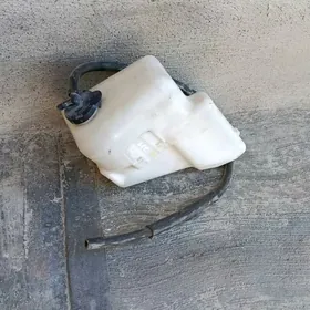 Raşitylny bacok kamry 2010