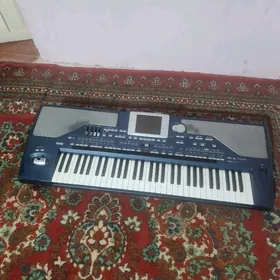 KORG PA800