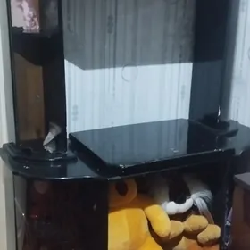 pastawka telewizor un