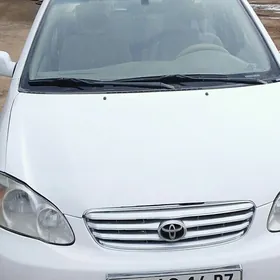 Toyota Corolla 2003