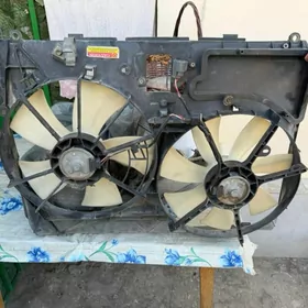 Lopus Wintilyator siyena