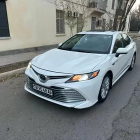 Toyota Camry 2019