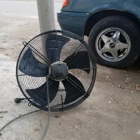 вытяжка улысы