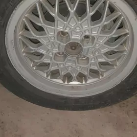 15 lik pauk diska opelinki