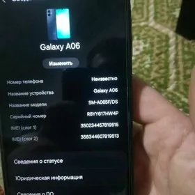 Samsung A06.