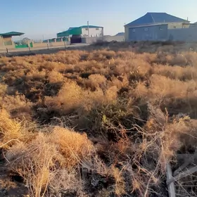 Gokdepe bos melek 16 sotok