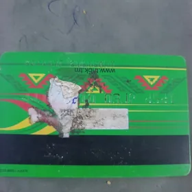 Altynasyr kart yitiren