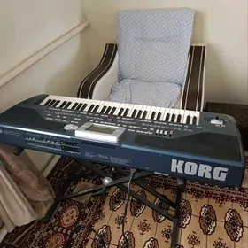 Korg pa 800